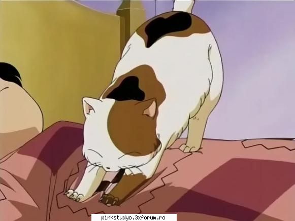 inuyasha buyo blue girl