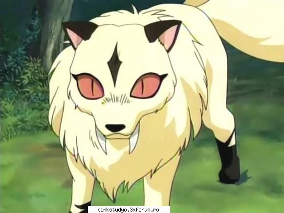 kirara inuyasha