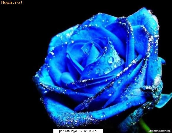 clip-art mai gasit `v�� \,,.~.~*\ ..v...../ \........ �,./..... idols