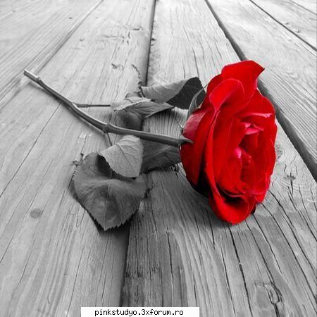 despre tine bine venit deed >< bucur cunosc fel pentru ceilalti care avut ocazia intampin